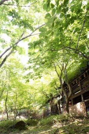 Property grounds - Kurokawa Onsen Yumerindo (Minamioguni)
