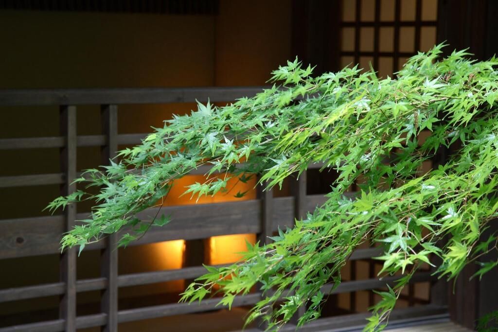 A traditional Japanese building with a wooden gate and a hanging branch of green foliage.
