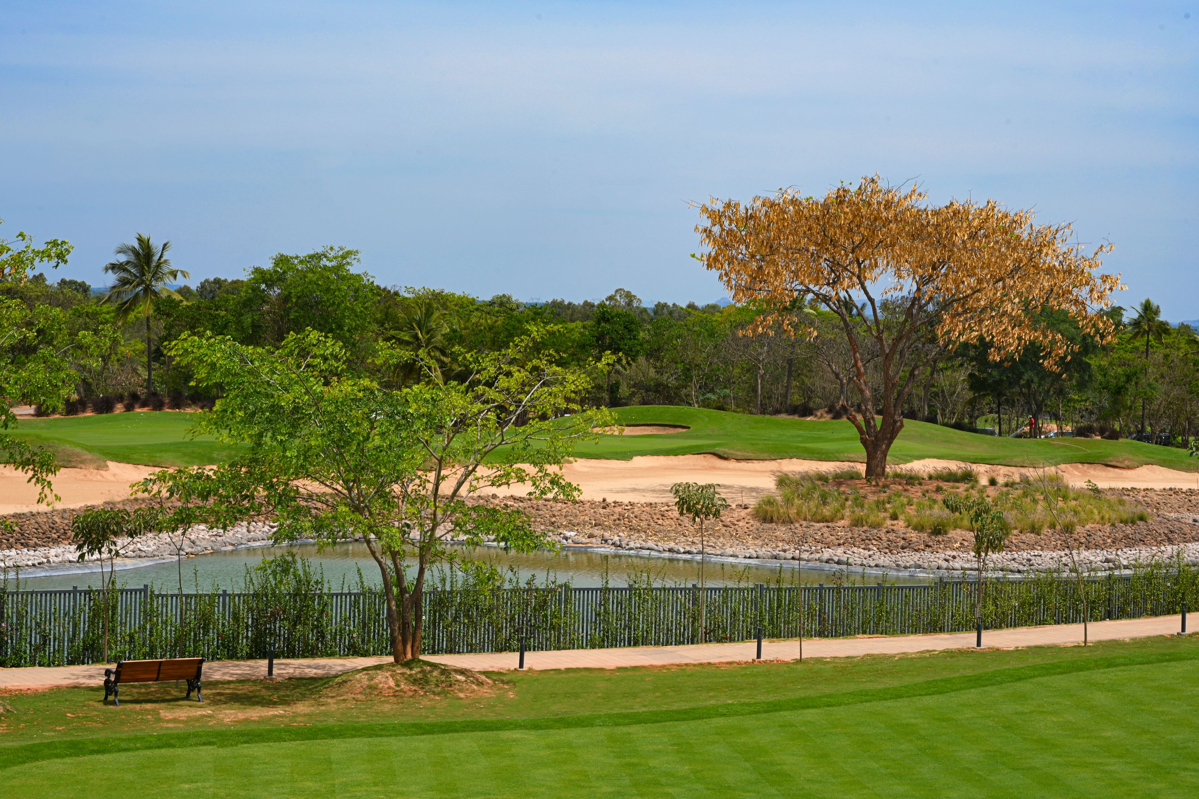 Un campo de golf con un cuerpo de agua, una zona arenosa y un árbol de hojas amarillas.