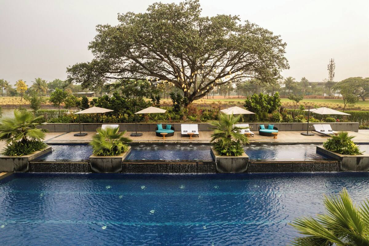 A pool area with lounge chairs and umbrellas, surrounded by greenery and a large tree.