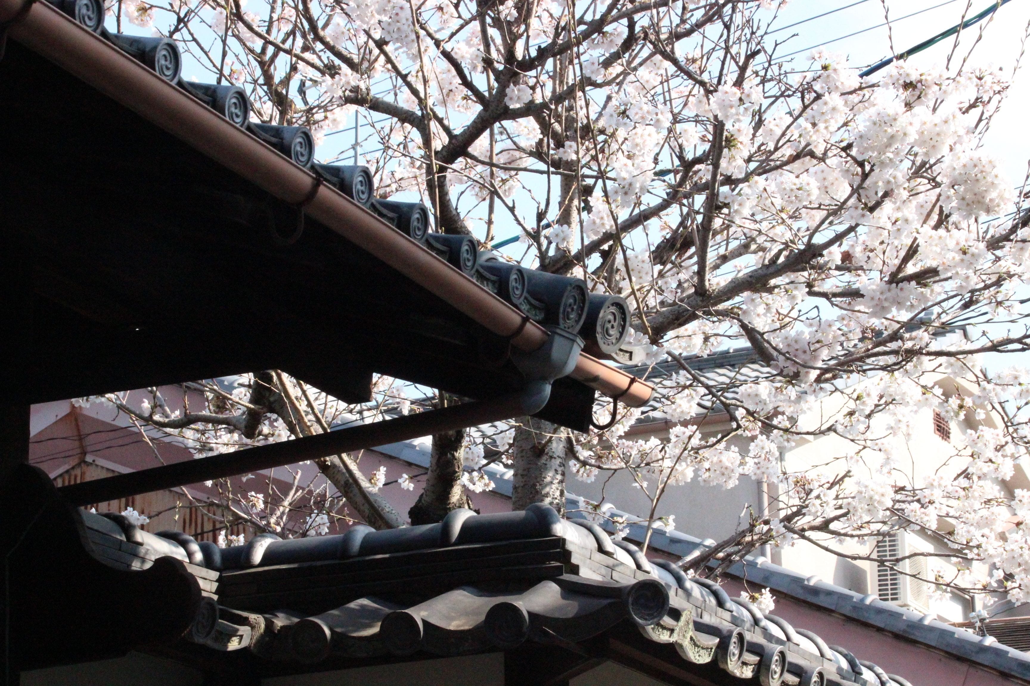 Foto - HARUYA Naramachi