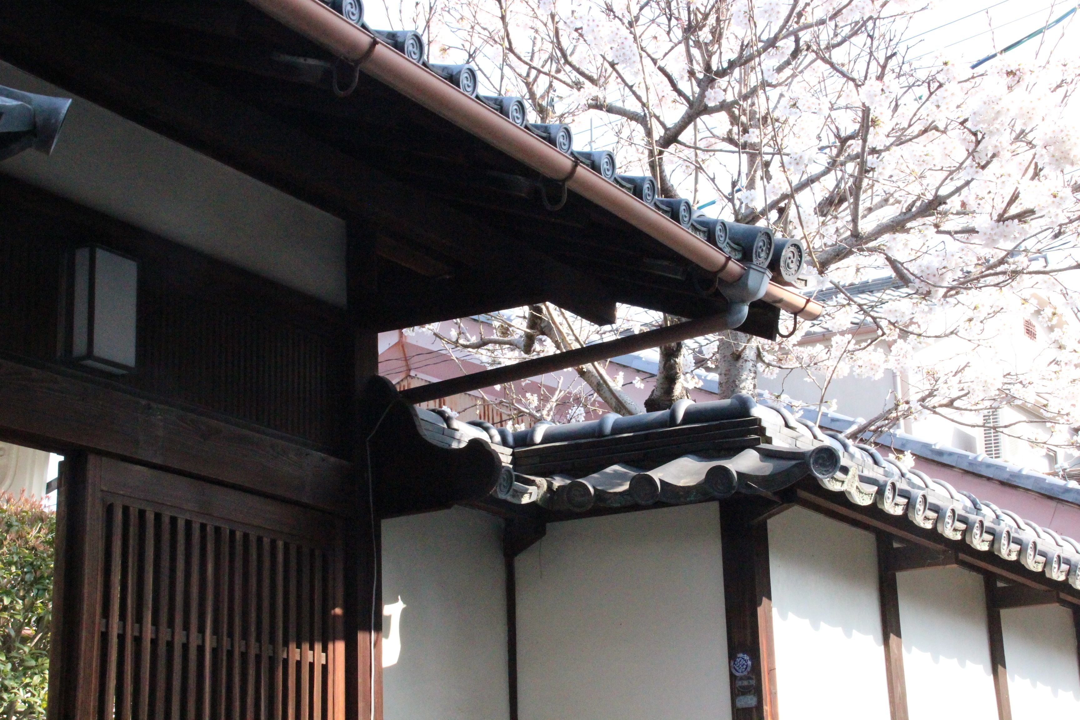 Foto - HARUYA Naramachi