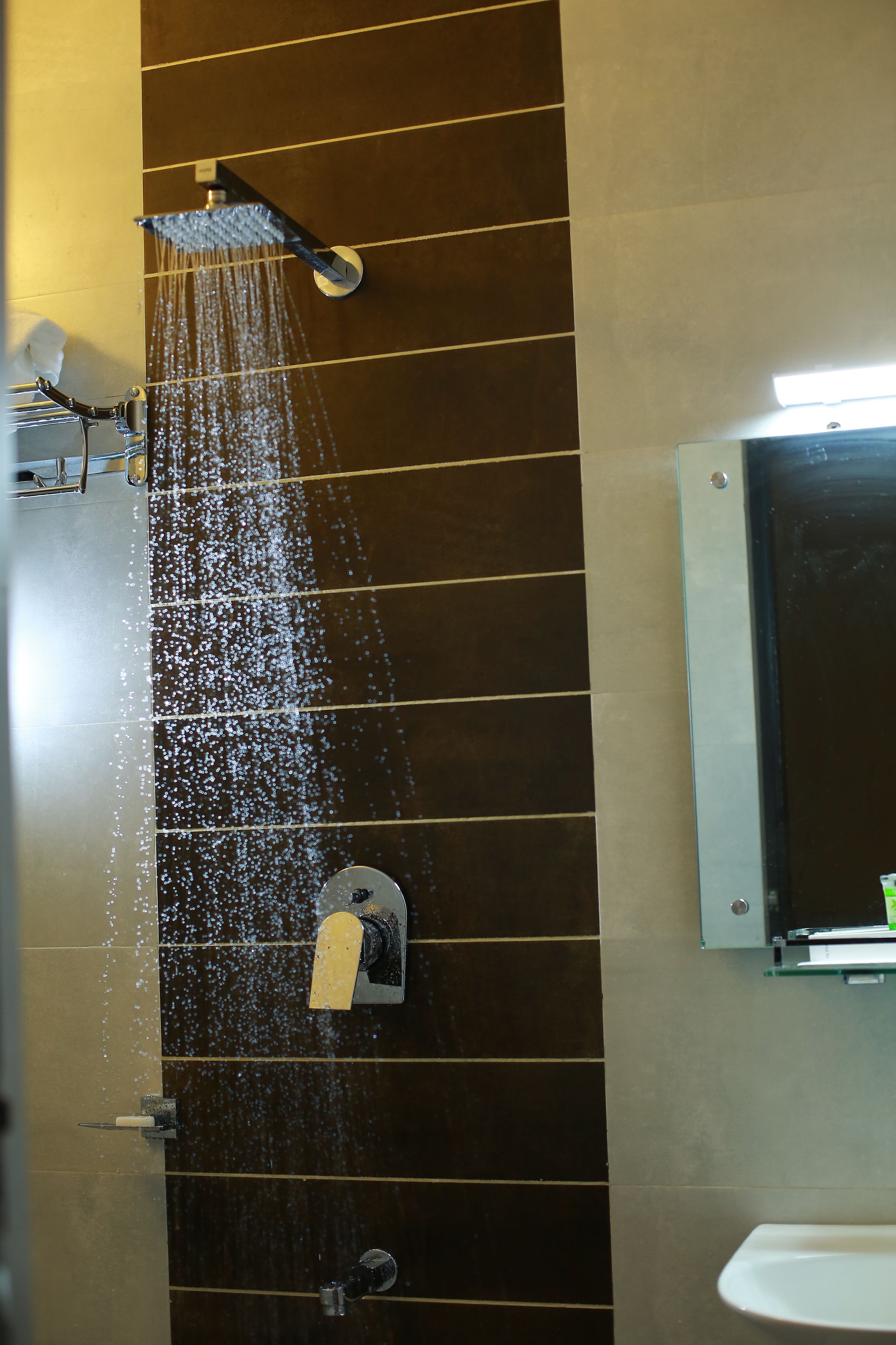 executive room | bathroom shower