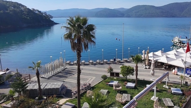 Una zona costera con un puerto deportivo, sillas de descanso y una palmera.