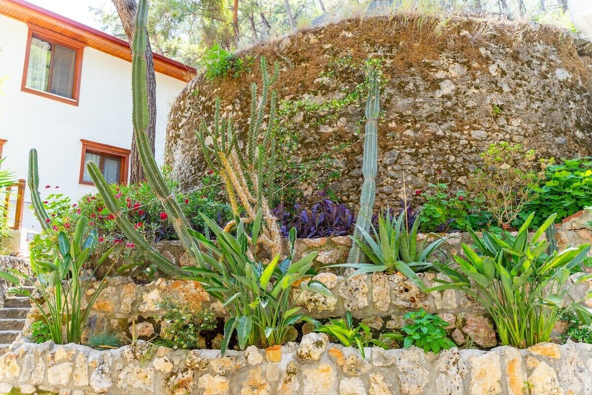 classic triple room | view from room