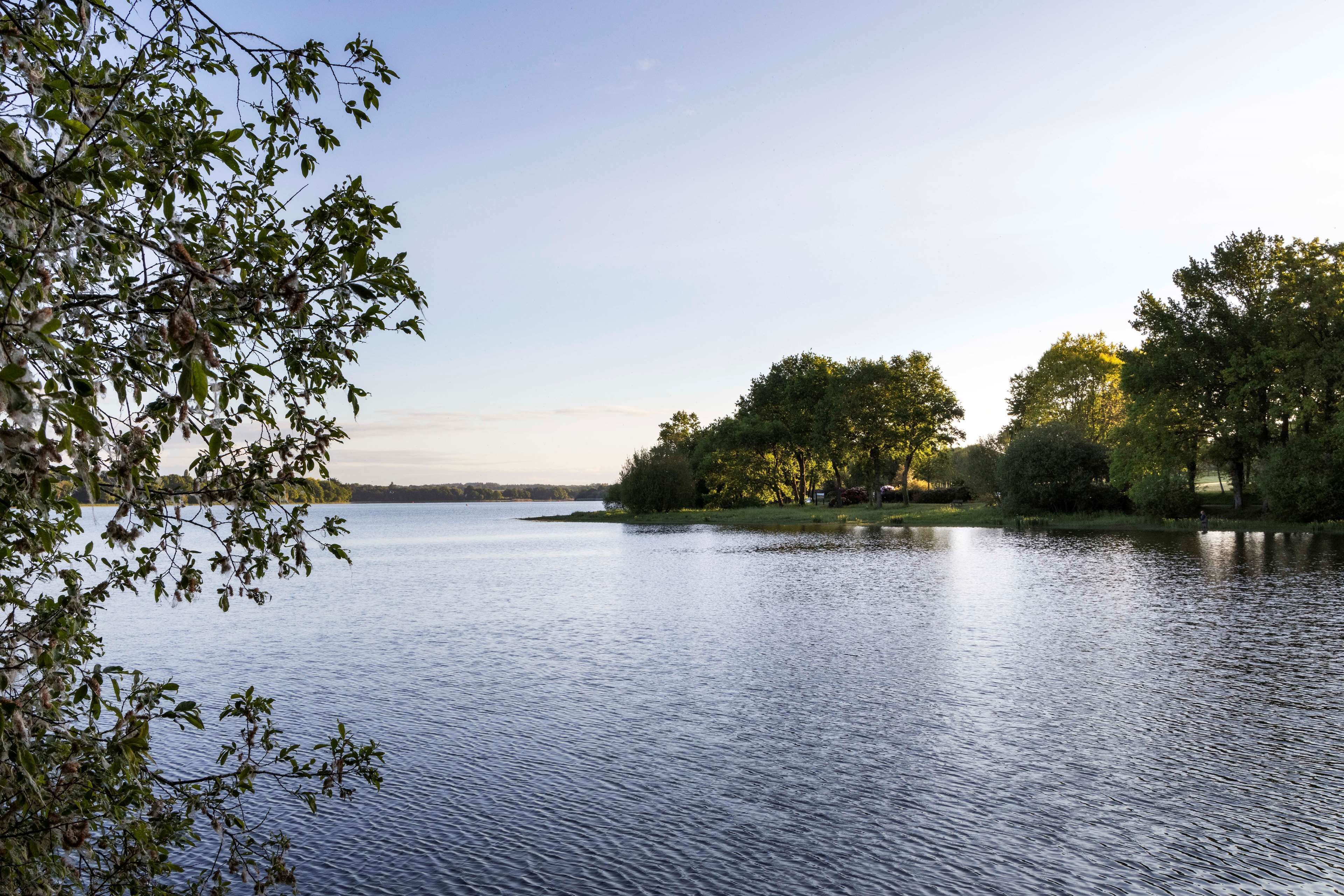 A calm lake with trees and a clear sky.