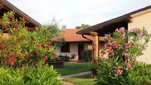 A courtyard with a brick building, a covered patio, and lush greenery.
