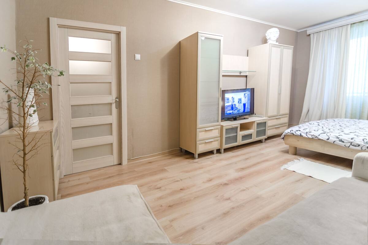 Apartment (Malaya Zhitomirskaya st. 10)