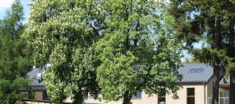 Rezydencja nad jeziorem - Pestkownica