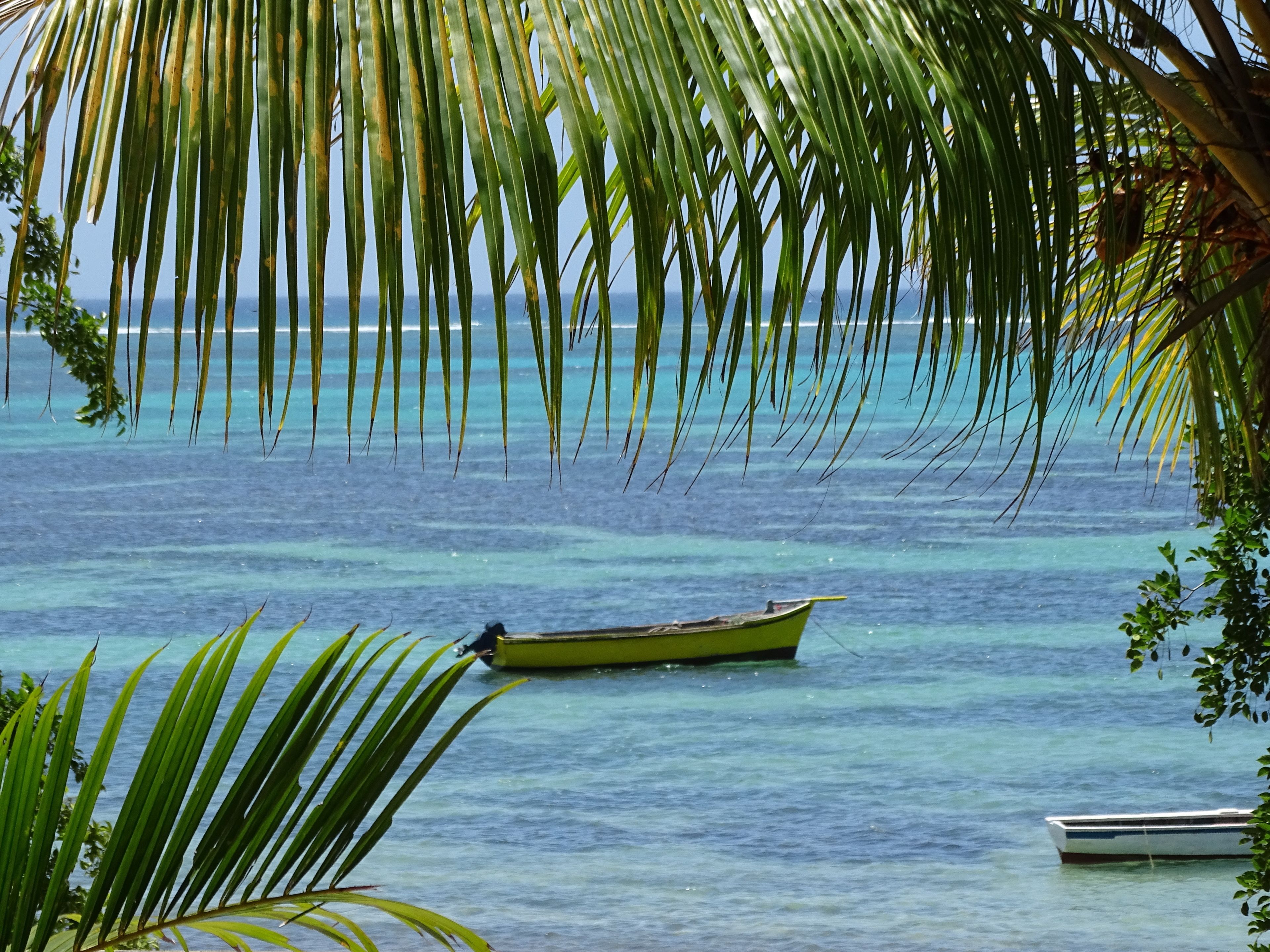A calm sea with a small boat anchored near the shore, surrounded by palm trees.