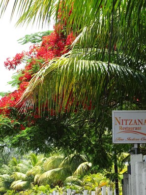 Exterior - Nitzana Residences & Restaurant (Cap Malheureux)