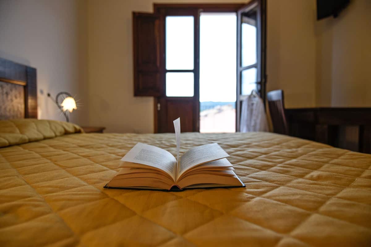 double or twin room, private bathroom | premium bedding, minibar, desk, iron/ironing board