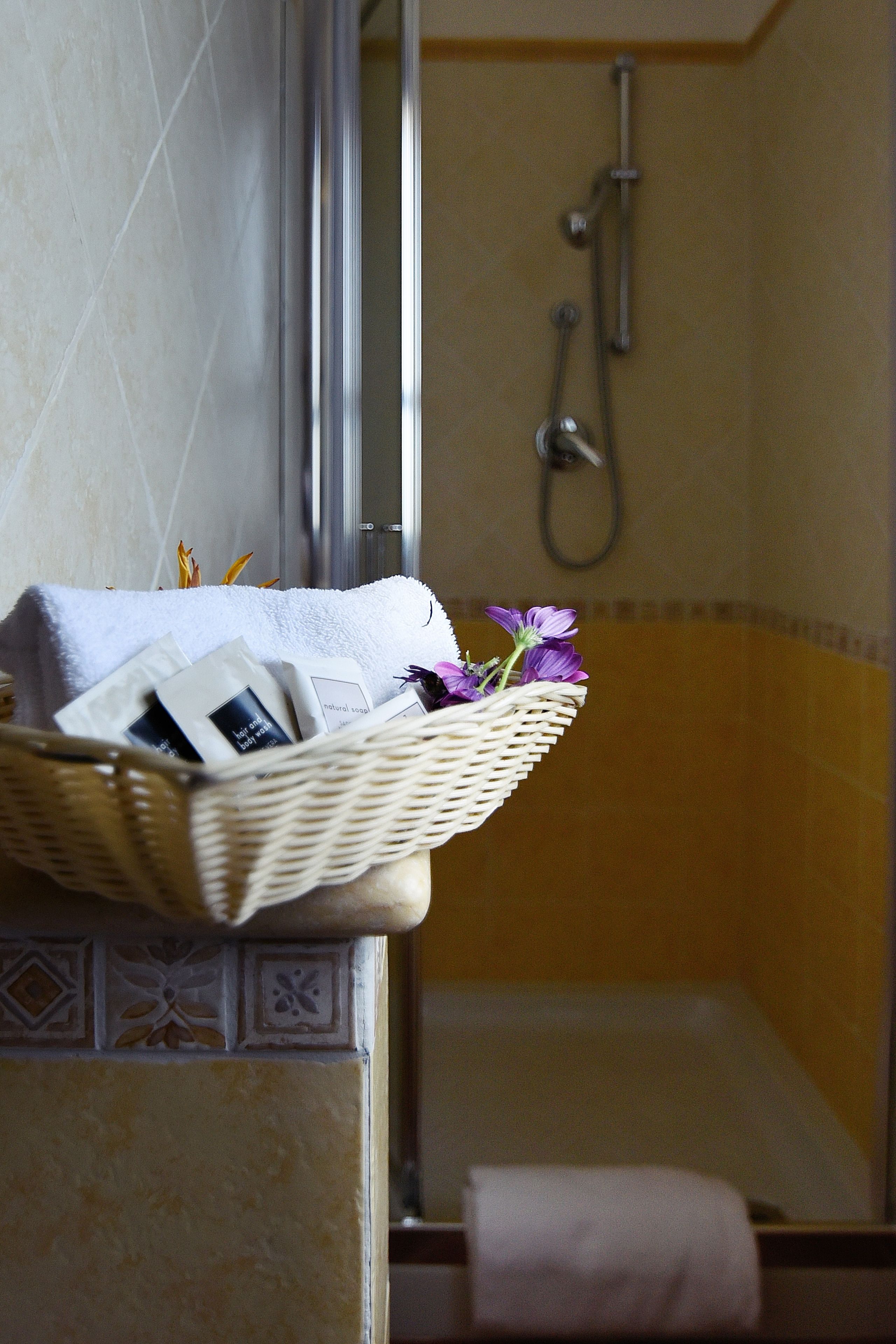 free toiletries, hair dryer, bidet, towels