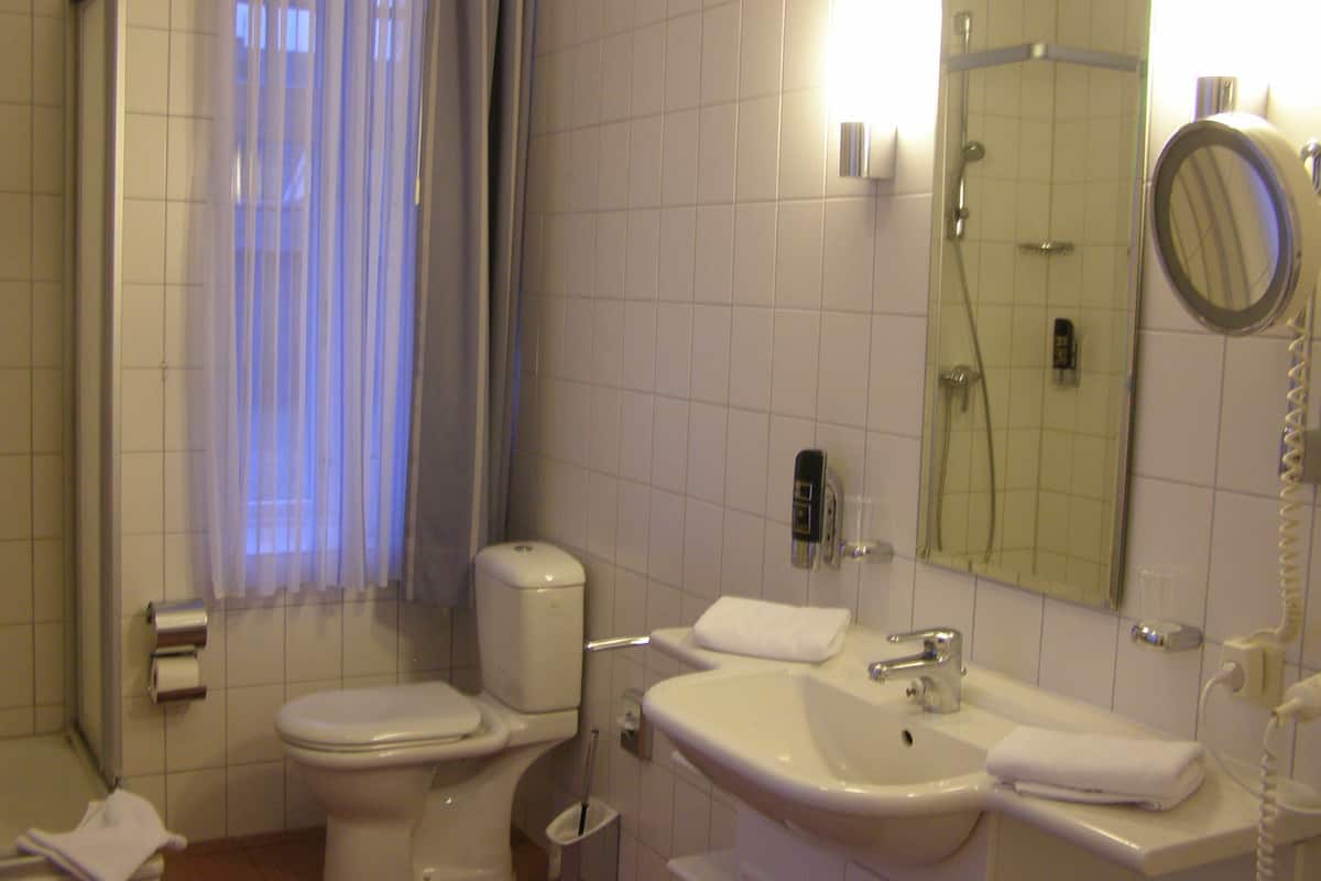 standard double room, 1 king bed, park view | bathroom | shower, free toiletries, towels