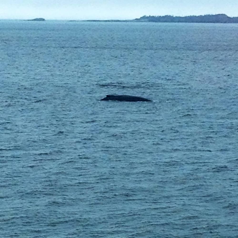 Inn by the Bay by null