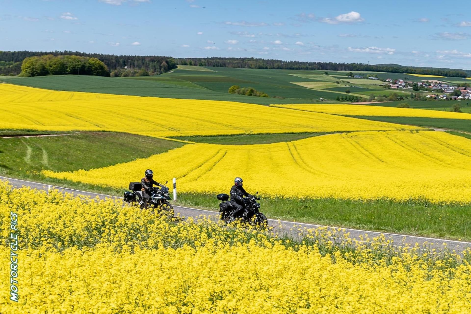 A rural landscape with fields of yellow flowers and a road.