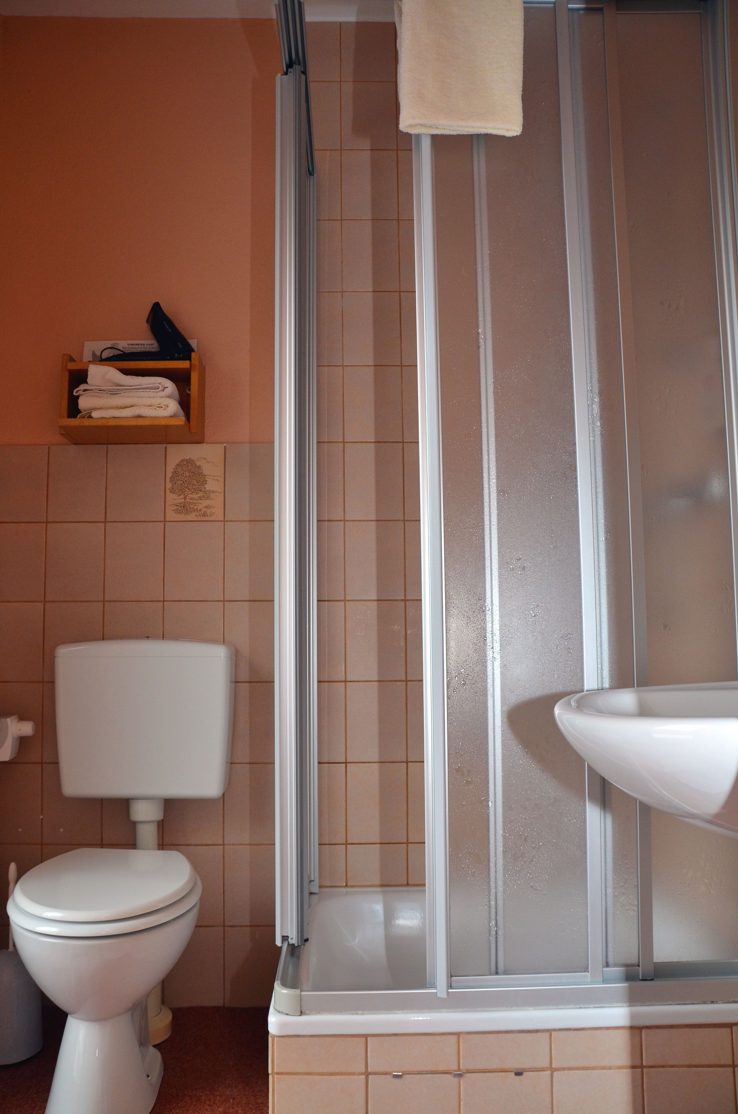 shower, free toiletries, hair dryer, towels