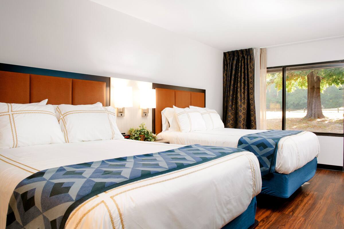 A hotel room with two beds, a large window with a view of trees, and a wooden floor.