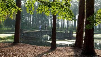 A stone bridge over a calm body of water, surrounded by tall trees and a grassy area.