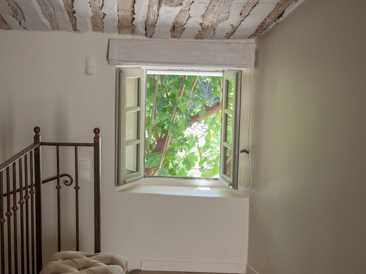 الإطلالة من المنشأة