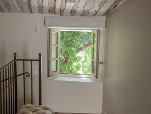 Suite de lujo, baño en la habitación (Les Suites) | Vista desde la propiedad