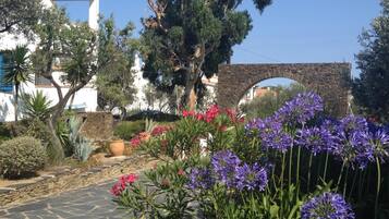 Terrein van de accommodatie