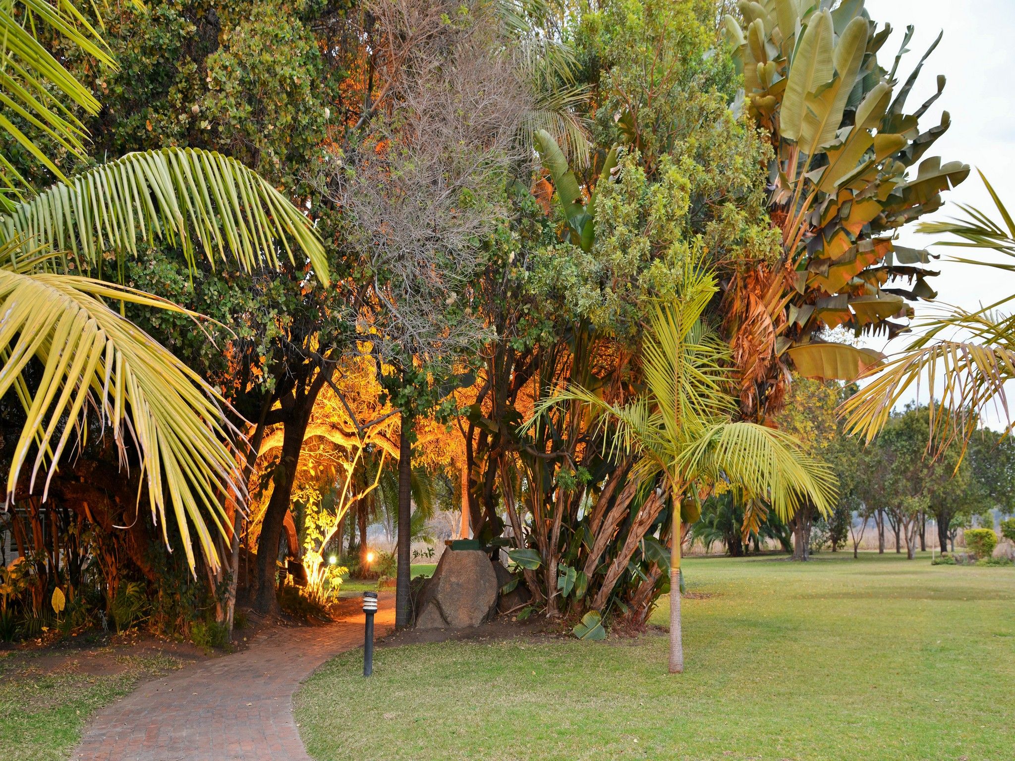 Un sendero atraviesa un exuberante jardín con diversas plantas tropicales y una estructura de piedra.