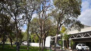 A parking area with trees and a building with a modern design.
