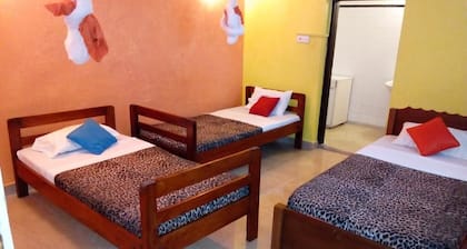 Ocean View Nyali Boutique Hotel - Hostel