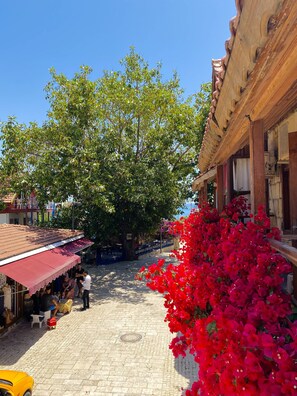 Standard Double Room | Terrace/patio