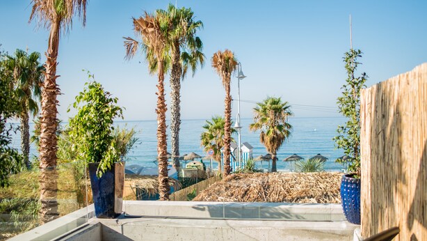 Un patio con vista al océano, palmeras y un edificio azul al fondo.