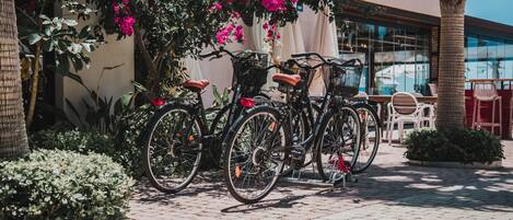 Bicycles parked outside a building with a brick pathway and potted plants.