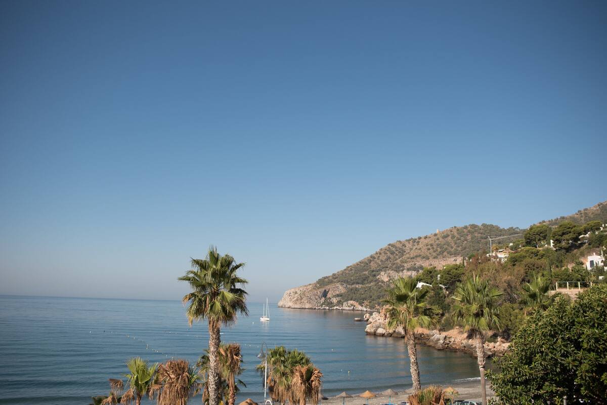 A coastal view with a clear sky, a sailboat on the water, and palm trees along the shore.