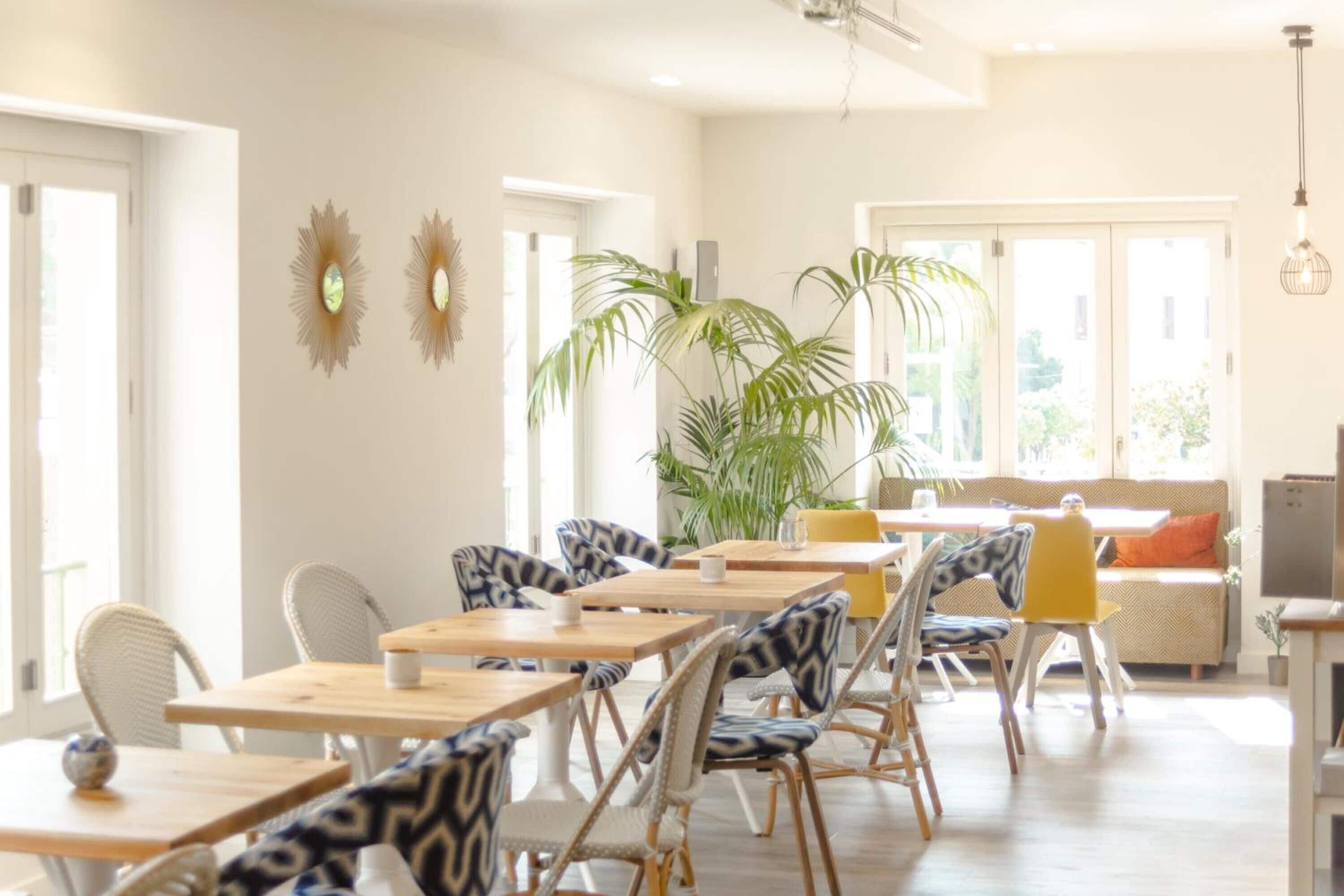 A bright dining area with wooden tables and patterned chairs, large windows, and a potted plant.