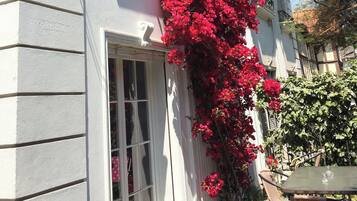 頂級獨棟房屋 | 露台/庭院