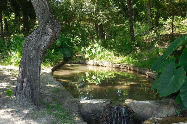 Àrea exterior de l'allotjament