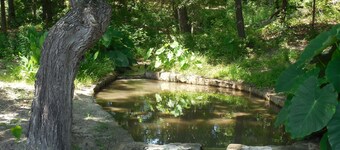 Beautiful, Comfortable, Private Guest Suites