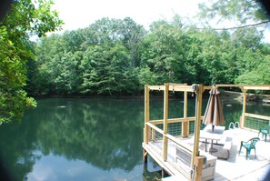 Property grounds - Peaceful Cabin Retreat w/ Fishing Pond, near Folk School. WiFi,  Pet Friendly! (Hayesville)