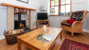 A cozy living room with a fireplace, a television, a wicker chair, and a bookshelf.