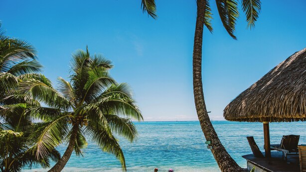 A beach with palm trees, clear blue water, and a thatched-roof structure with lounge chairs.