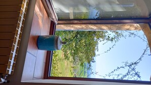 Ein Fenster mit Blick auf einen Garten und einem blauen Gegenstand in der Fensterbank.