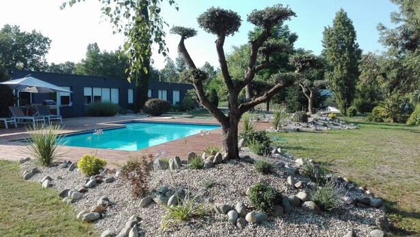 Een zwembad omringd door een aangelegde tuin met diverse planten en een grote boom.