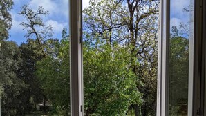 Eine Terrassenfläche mit Holzboden und einem Metallstuhl.