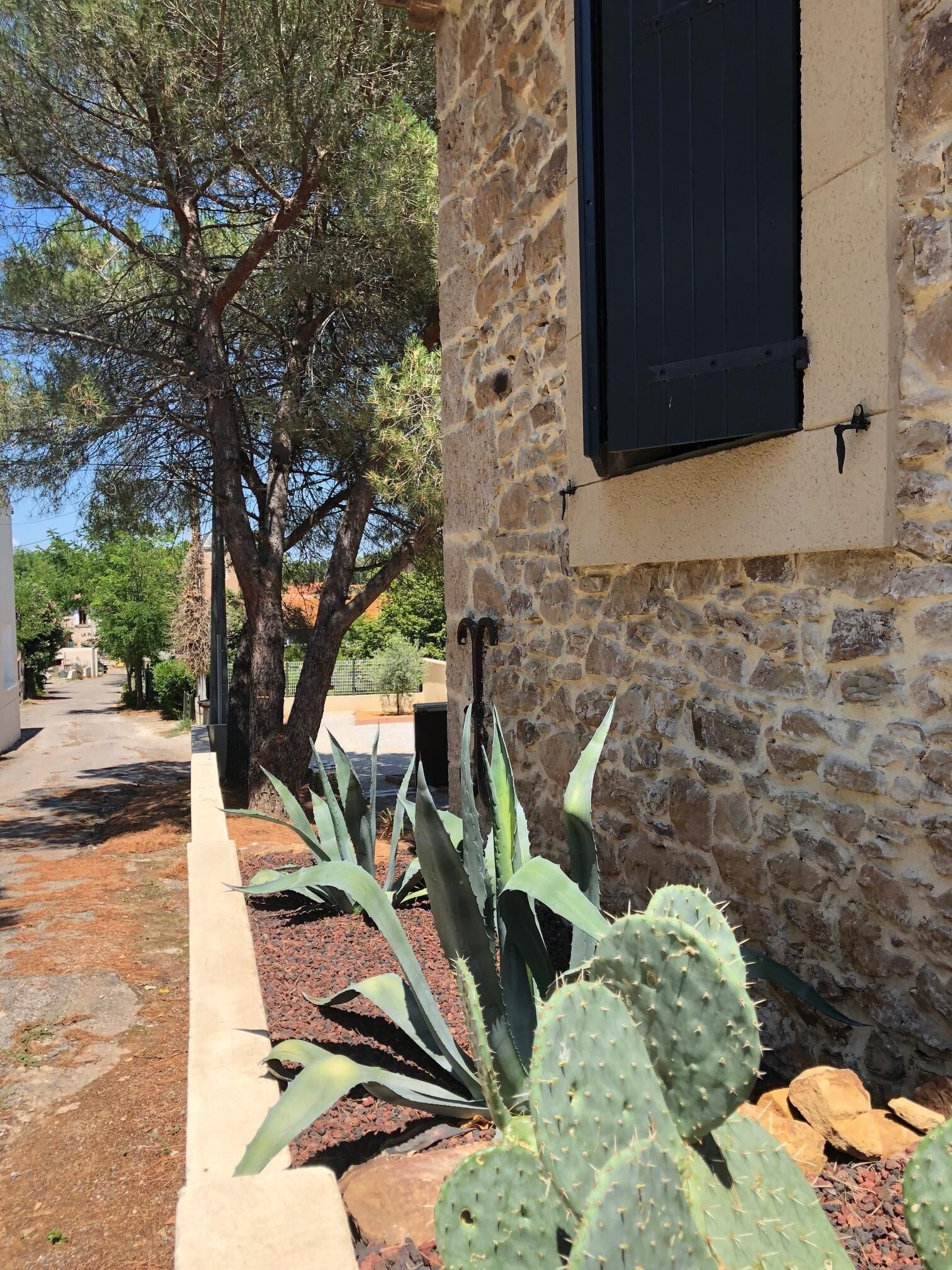 Een stenen gebouw met een raam en een cactuspunt in de voorgrond.