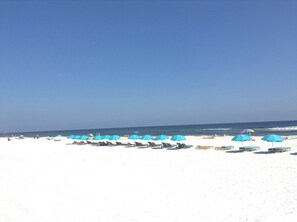 Une plage bordée de rangées de chaises longues et de parasols.