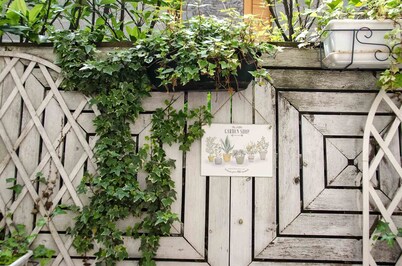 In the heart of the old town, quiet loft with pretty sunny terrace