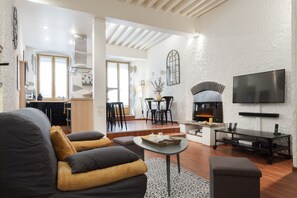 TV, fireplace, DVD player, books - In the heart of the old town, quiet loft with pretty sunny terrace (Annecy)