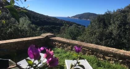 Villa Marguerite, Havre de Paix sur I'le du levant