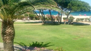 A well-maintained lawn with a palm tree, a clear view of the beach, and a few people in the distance. - Exceptional sea view, seafront, Argeles Plage, Climatisation, Large apartment (Argelès-Sur-Mer)