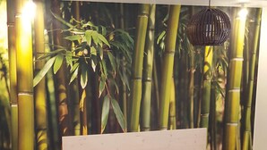 A bedroom with a large bed, two nightstands, a wall-mounted lamp, and a bamboo-themed wallpaper. - Exceptional sea view, seafront, Argeles Plage, Climatisation, Large apartment (Argelès-Sur-Mer)